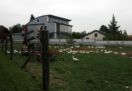 Экоподушка пуховая трехкамерная Oeko