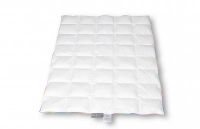 Пуховые одеяла детские Премиум Клима Тенсел сильверкомплит Dorbena (Лихтенштейн)